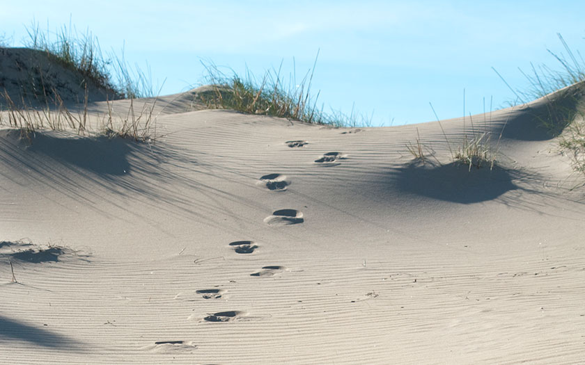 Spuren im Sand