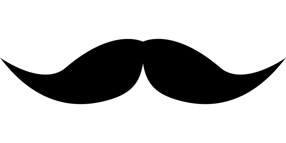 Schnurrbart