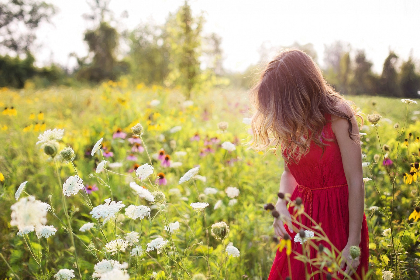 Frau im Blumenfeld